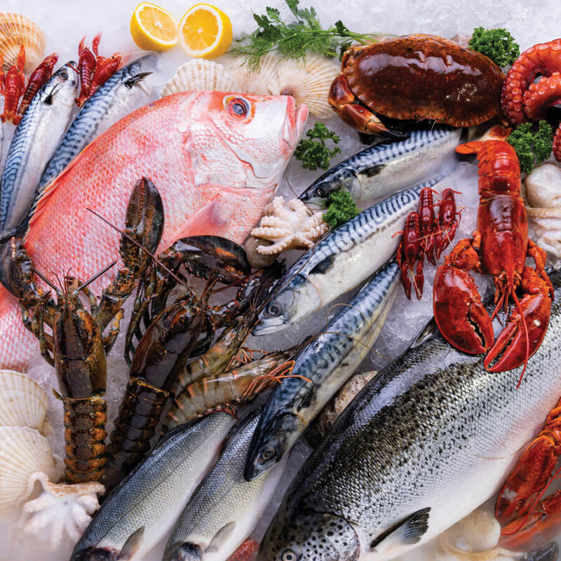 Fish Pier blackburnsquare